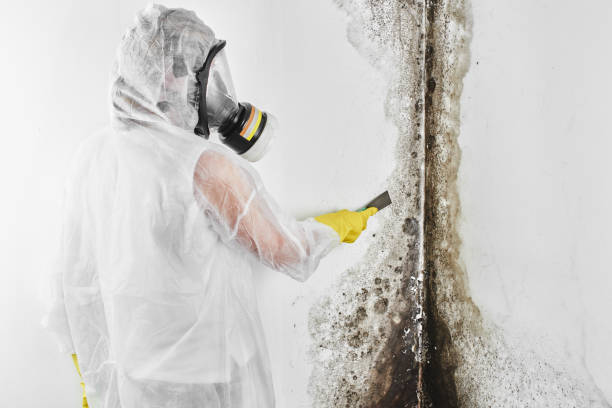 Best HVAC Mold Remediation in Candor, NC