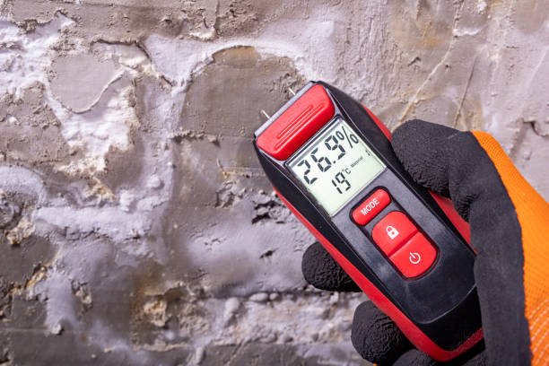 Best Mold Testing and Inspection Services in Candor, NC